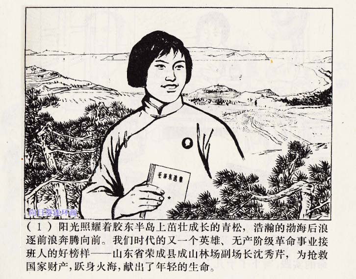 内页4