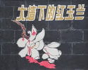 大墙下的红玉兰