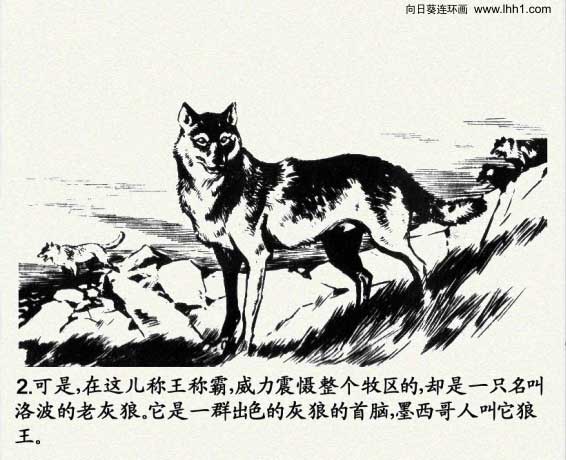 内页4