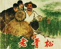 老青松