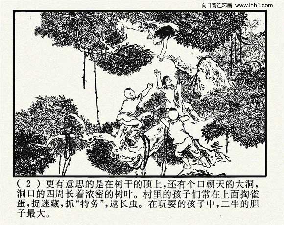 内页4