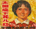 太阳底下花儿红