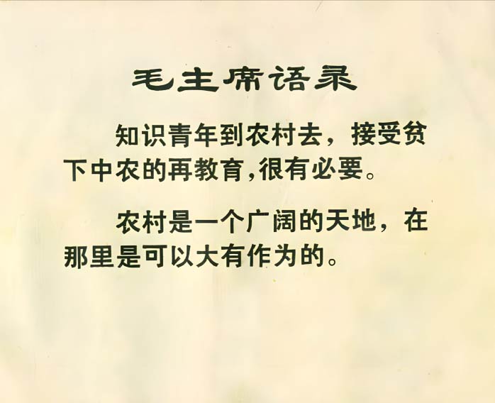 内页3