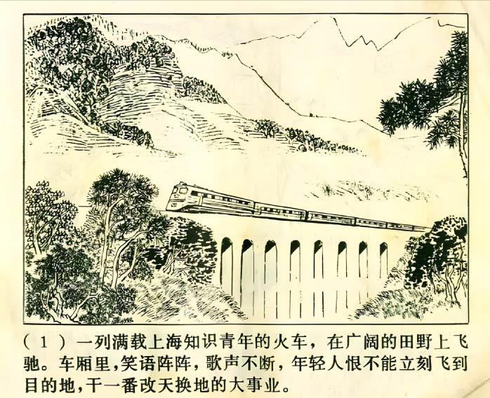 内页4