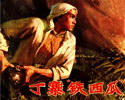 丁寨铁西瓜