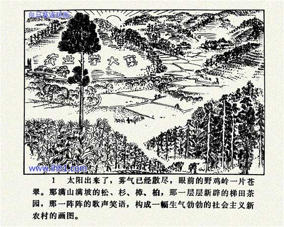 内页3