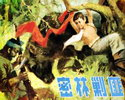 密林剿匪