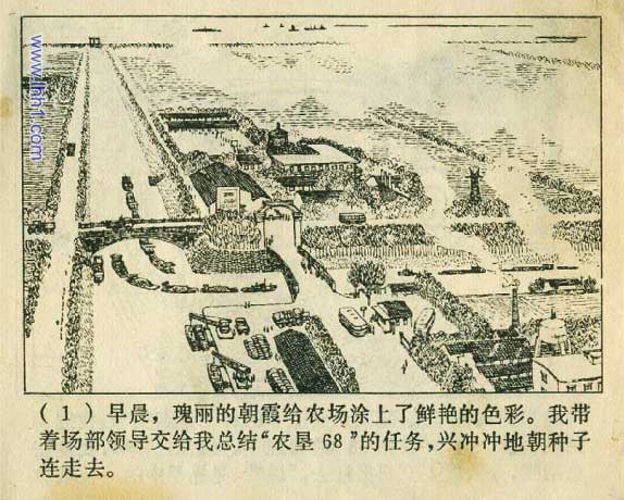 内页3