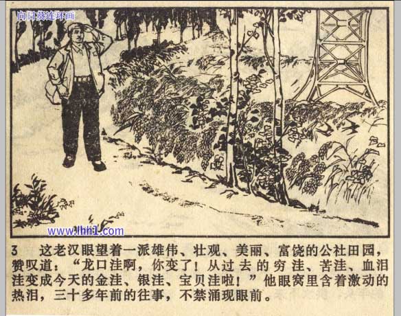 内页4