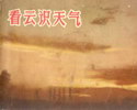 看云识天气