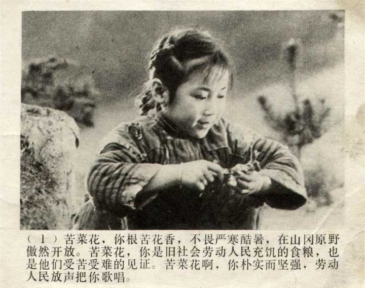 内页3