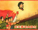 杂交高粱向阳红