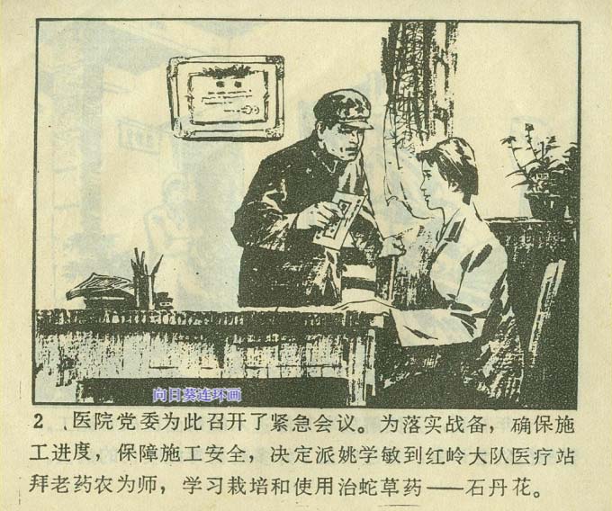 内页4